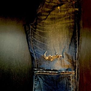 J crew distressed boyfriend jean